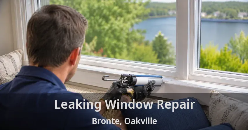 Leaking Window Repair Bronte, Oakville - ON